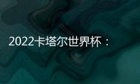 2022卡塔尔世界杯
：实现梦想的旅程