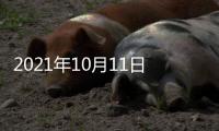 2021年10月11日，外交部新闻发言人赵立坚主持例行记者会答问澳门月刊记者