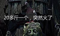 20多斤一个，突然火了！杭州一菜场摊主：没有现货，隔两天就有人来预订
