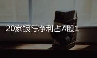 20家银行净利占A股1/3强，“利润王”对抗息差压力分化加剧