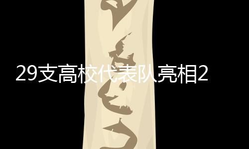 支高以“自觉维护国家平安