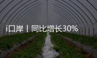 i口岸丨同比增长30%！“五一”假期首日
，港珠澳大桥通关火爆