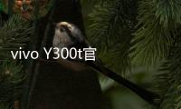 vivo Y300t官宣3月31日发布�：超长续航�，超强性能